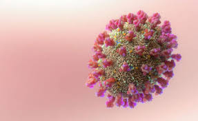 3D rendering of the COVID-19 virus showing its spiked protein structure against a soft pink background.