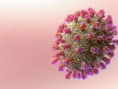 3D rendering of the COVID-19 virus showing its spiked protein structure against a soft pink background.